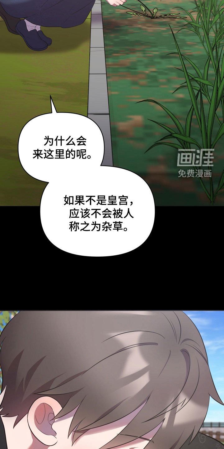 第73章：不是白痴