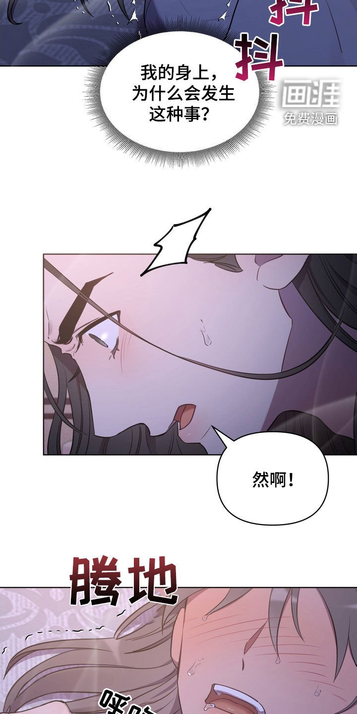 第78章：我是谁