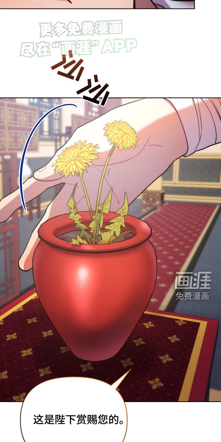 第99章：自由