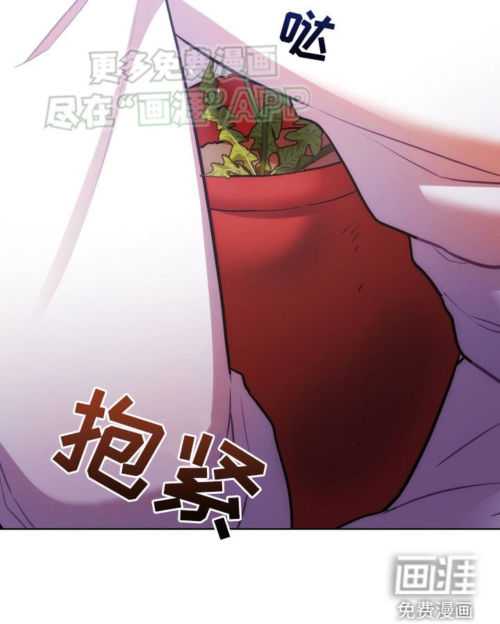 第99章：自由