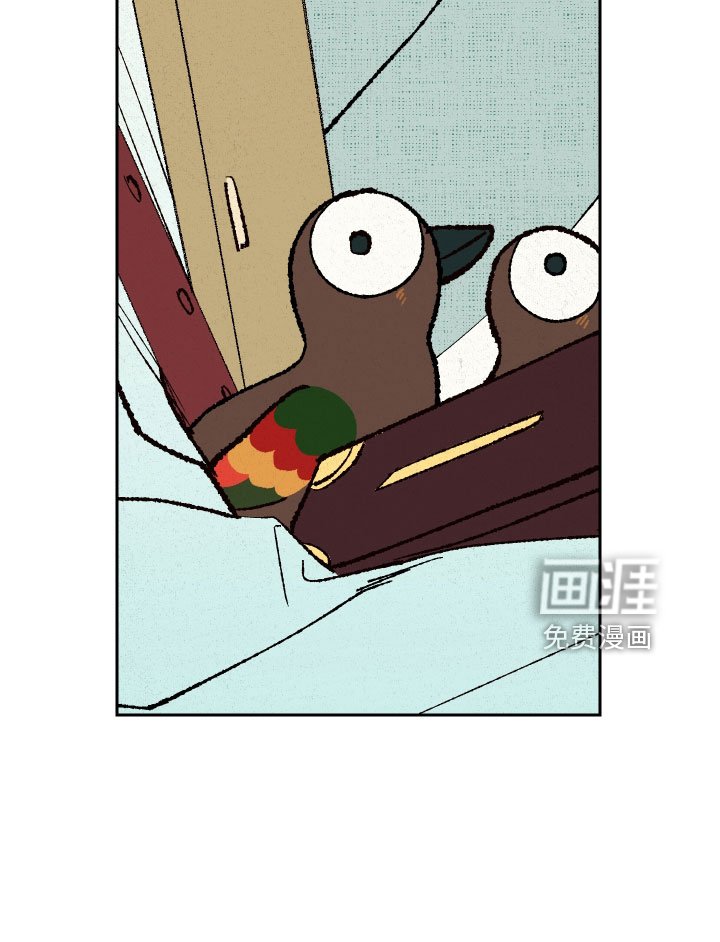 第17章：我眼瞎