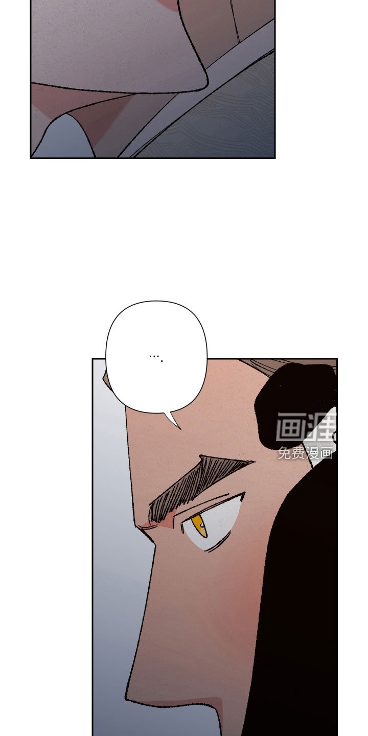 第18章：狐狸一样