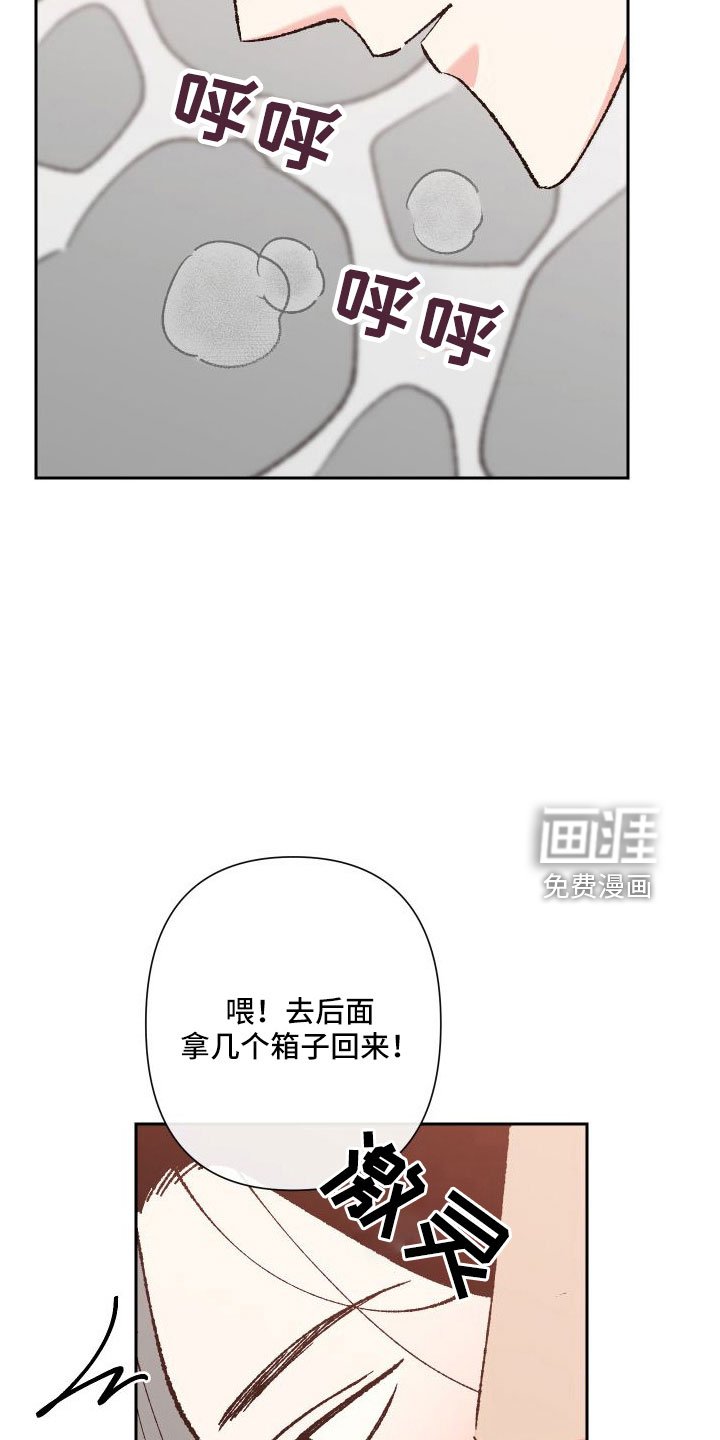 第31章：又想他了