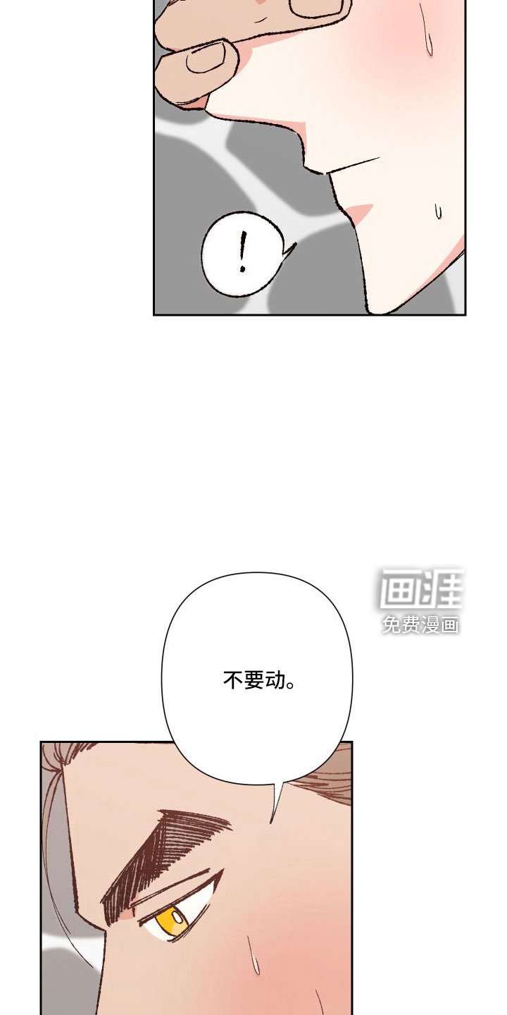 第31章：又想他了