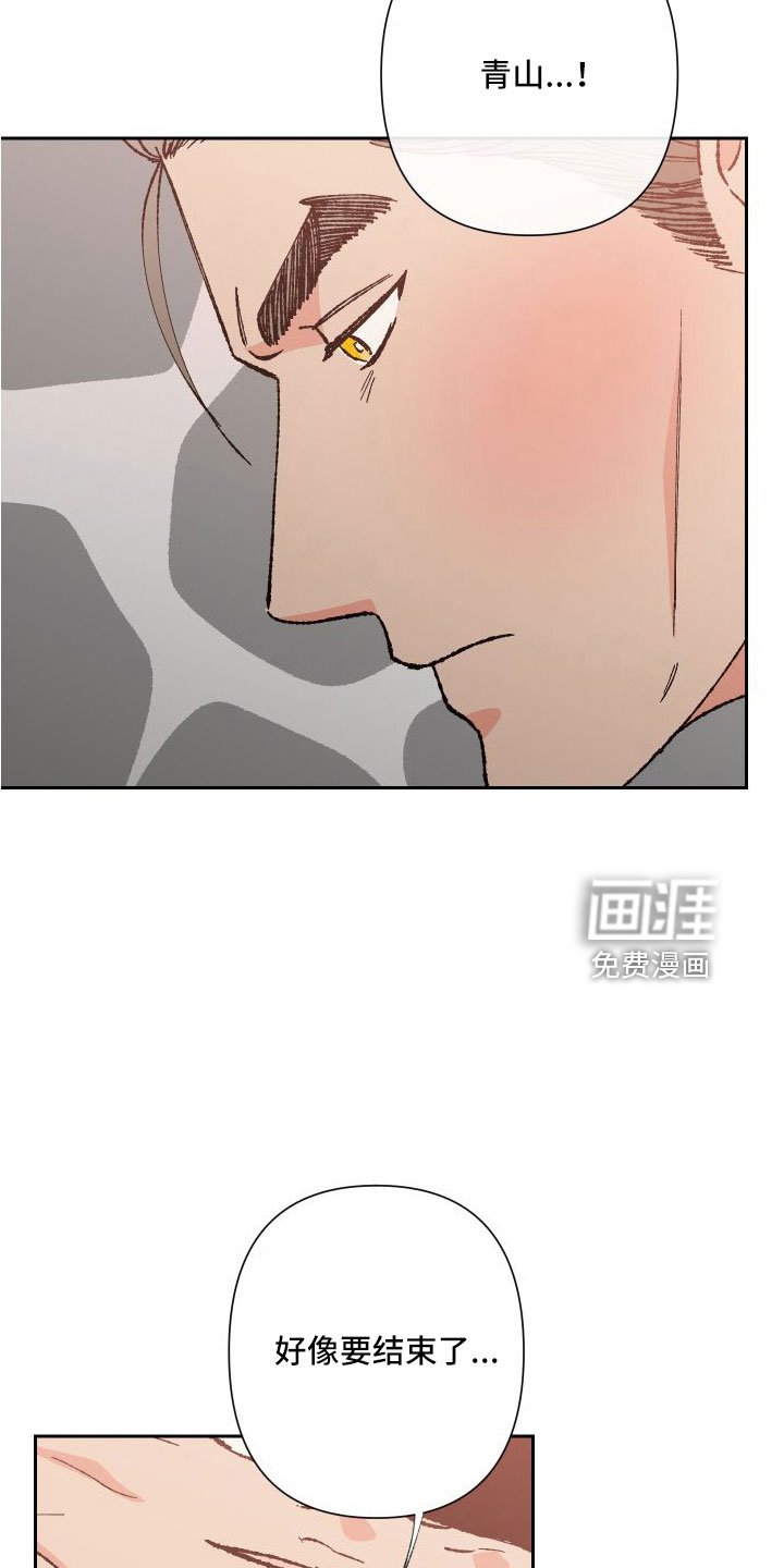 第31章：又想他了