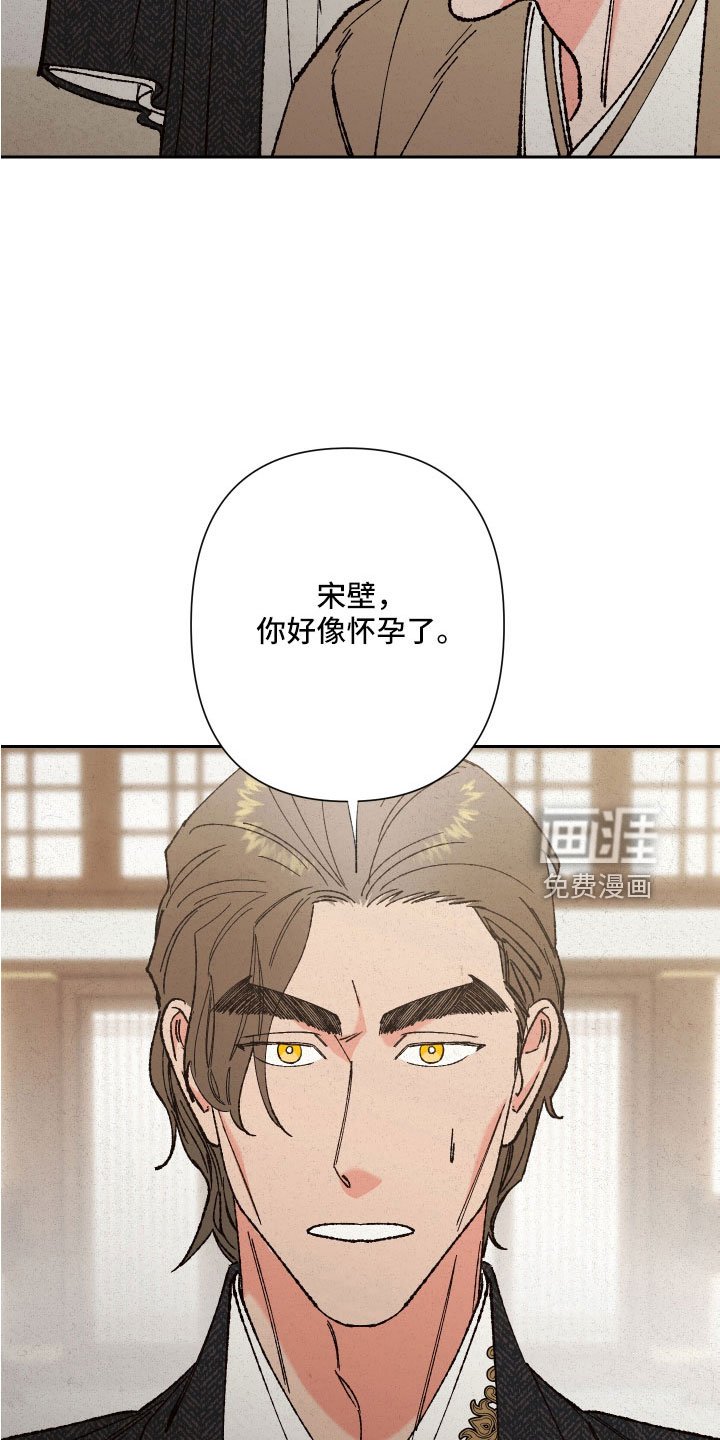 第36章：怀孕