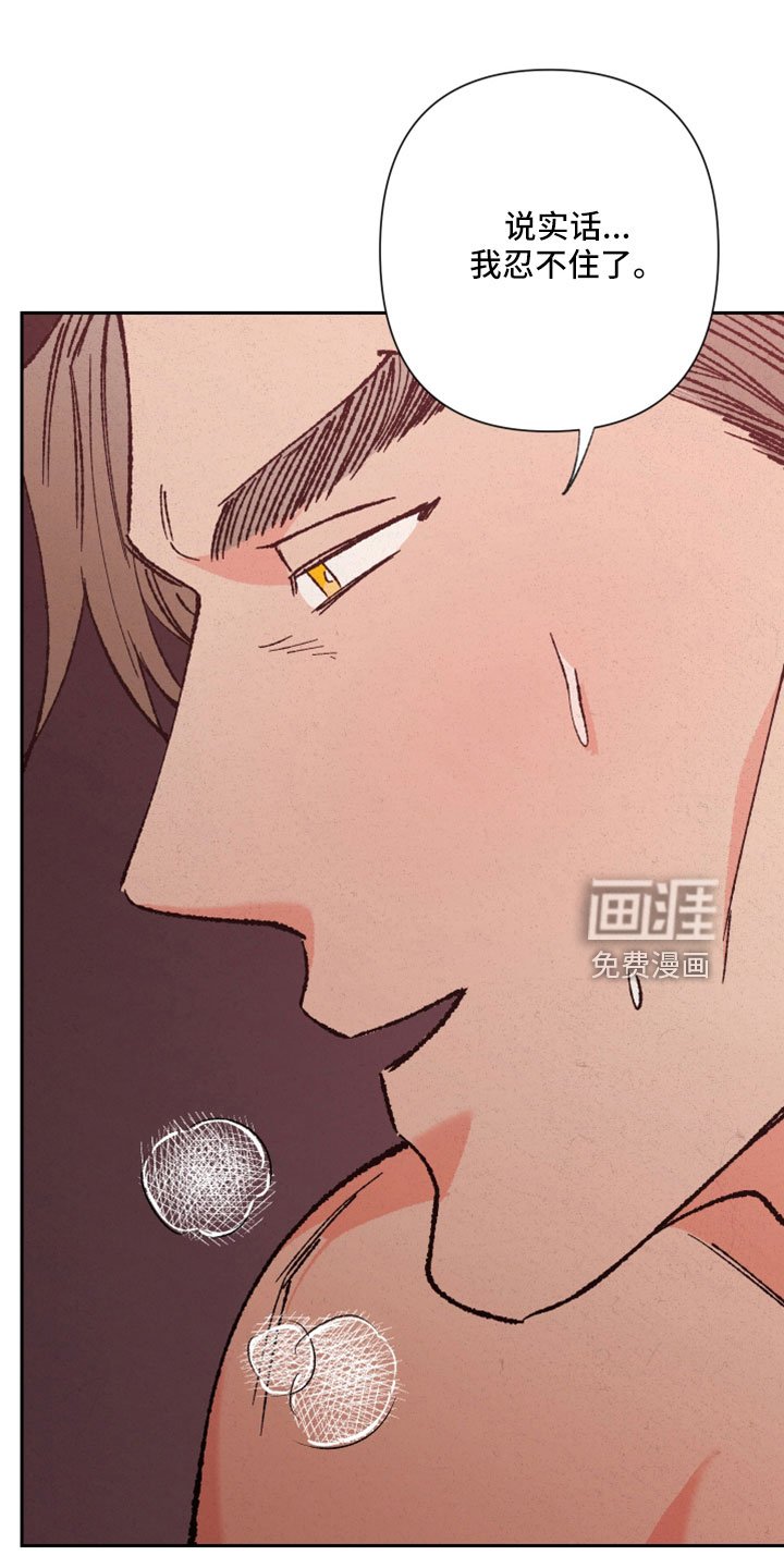 第42章：放马过来