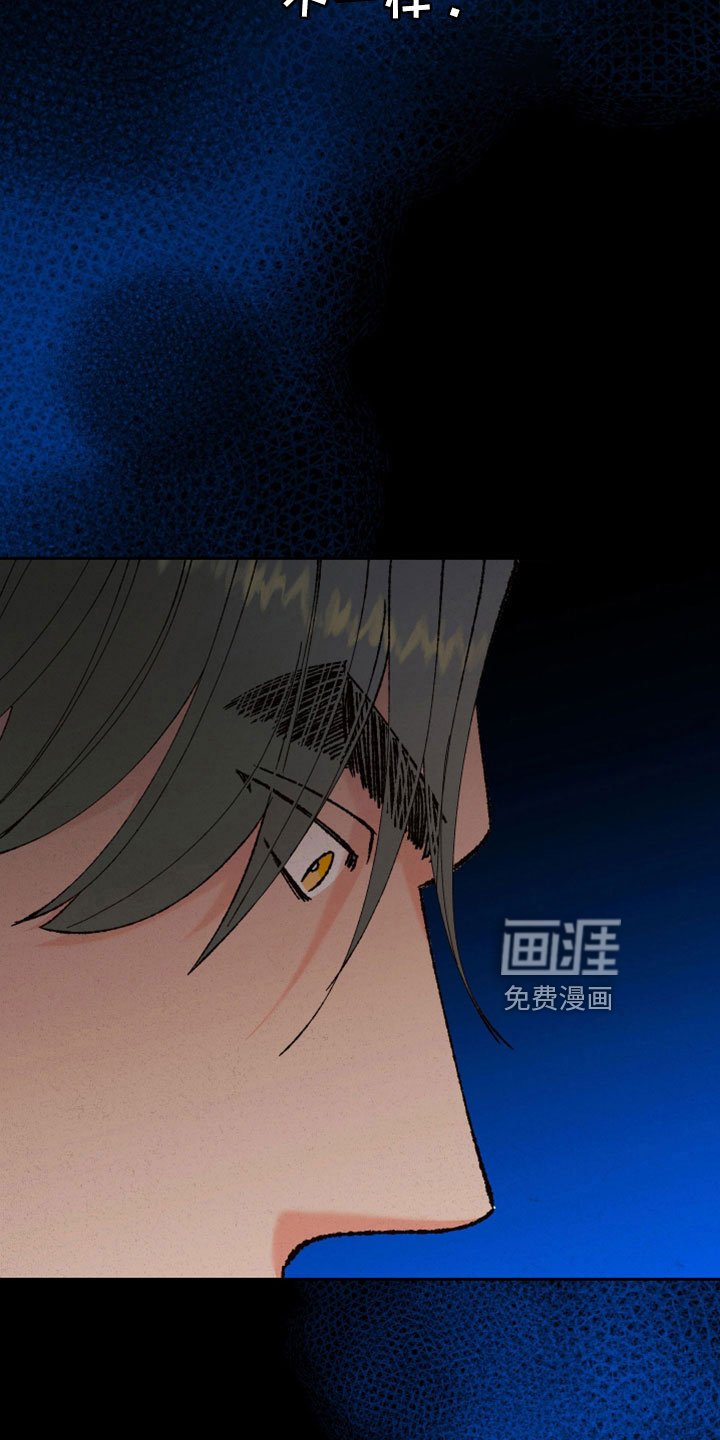 第48章：孩子没了