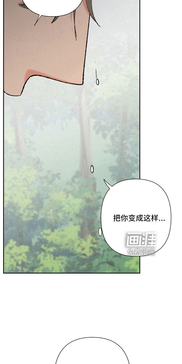 第48章：孩子没了