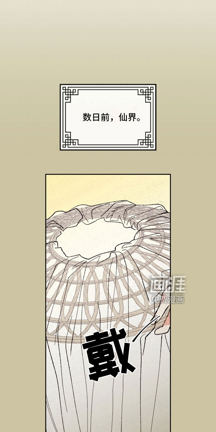 第51章：【第二季】重要的事