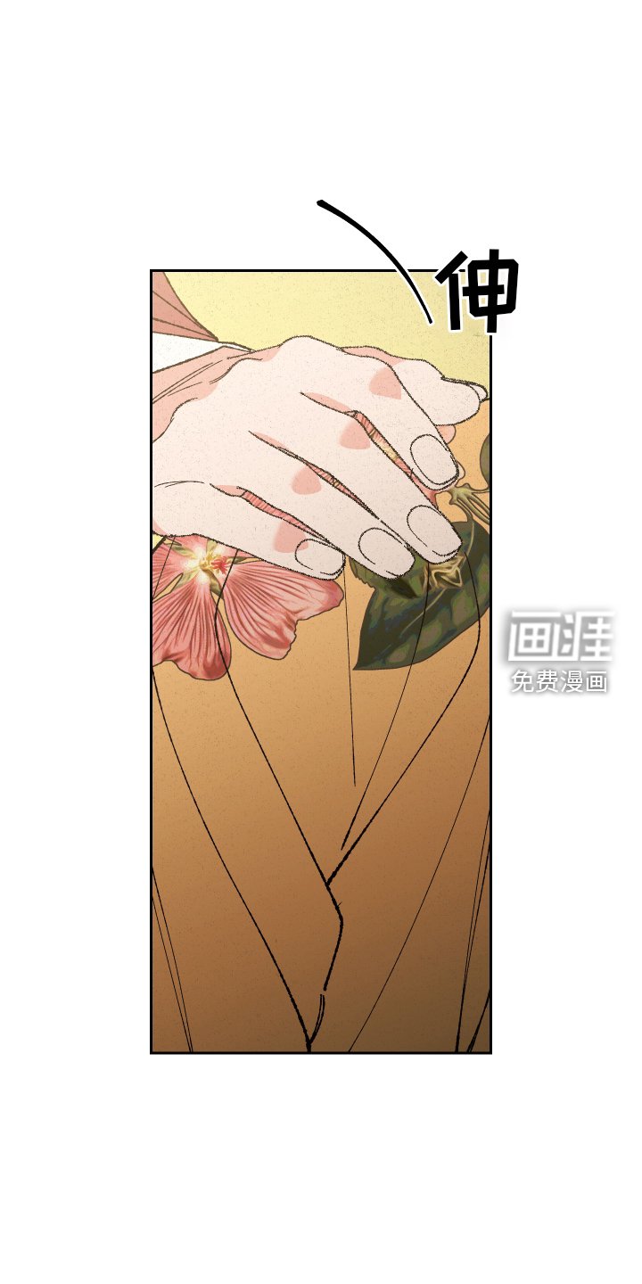 第65章：【第二季】求助
