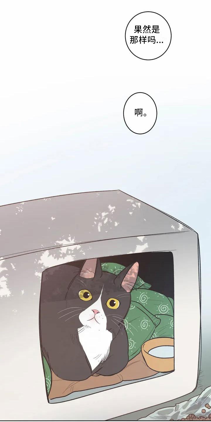 第1章：循环