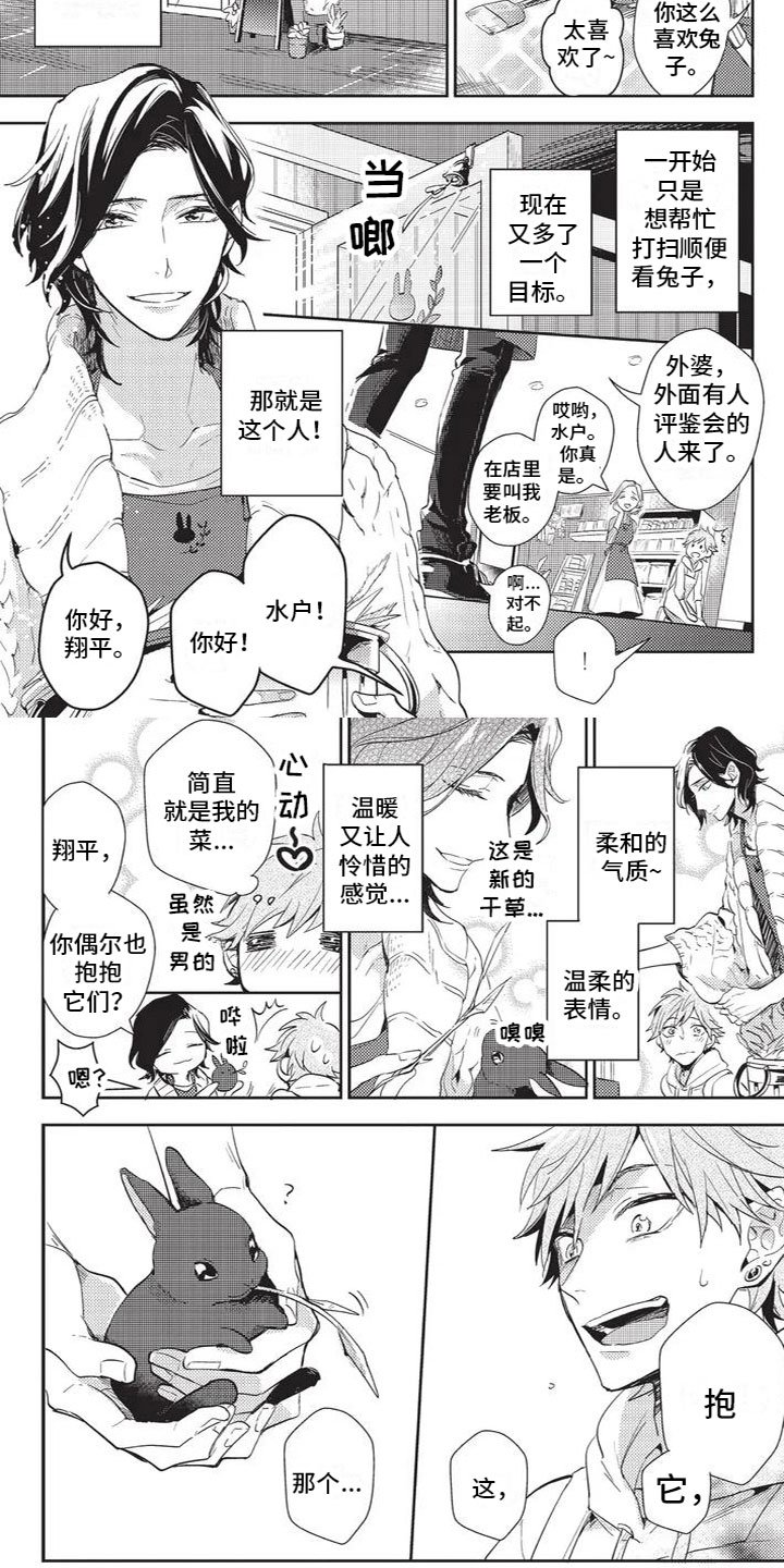 第1章：兔毛过敏