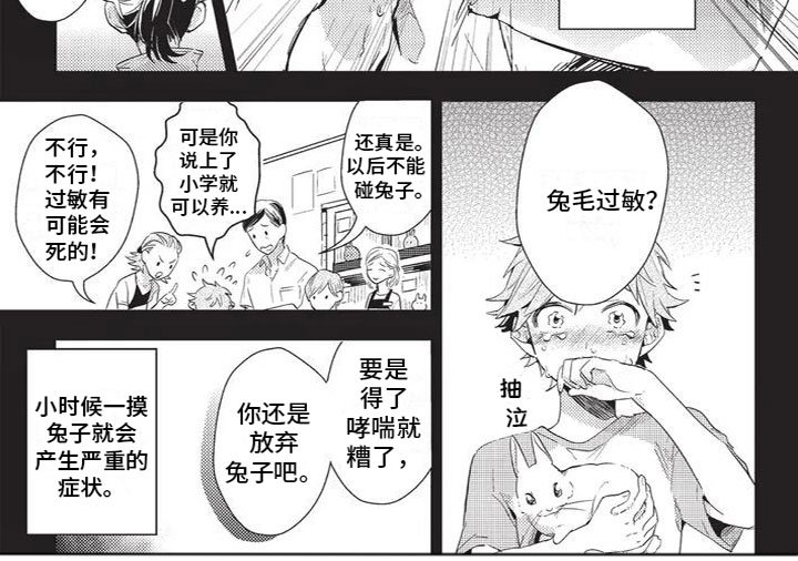 第1章：兔毛过敏