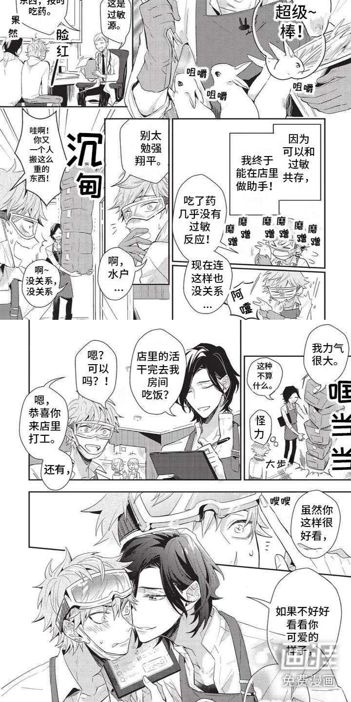 第6章：好幸福