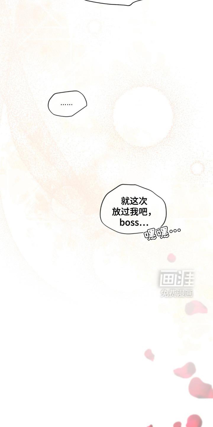 第127章：完美计划【完结】