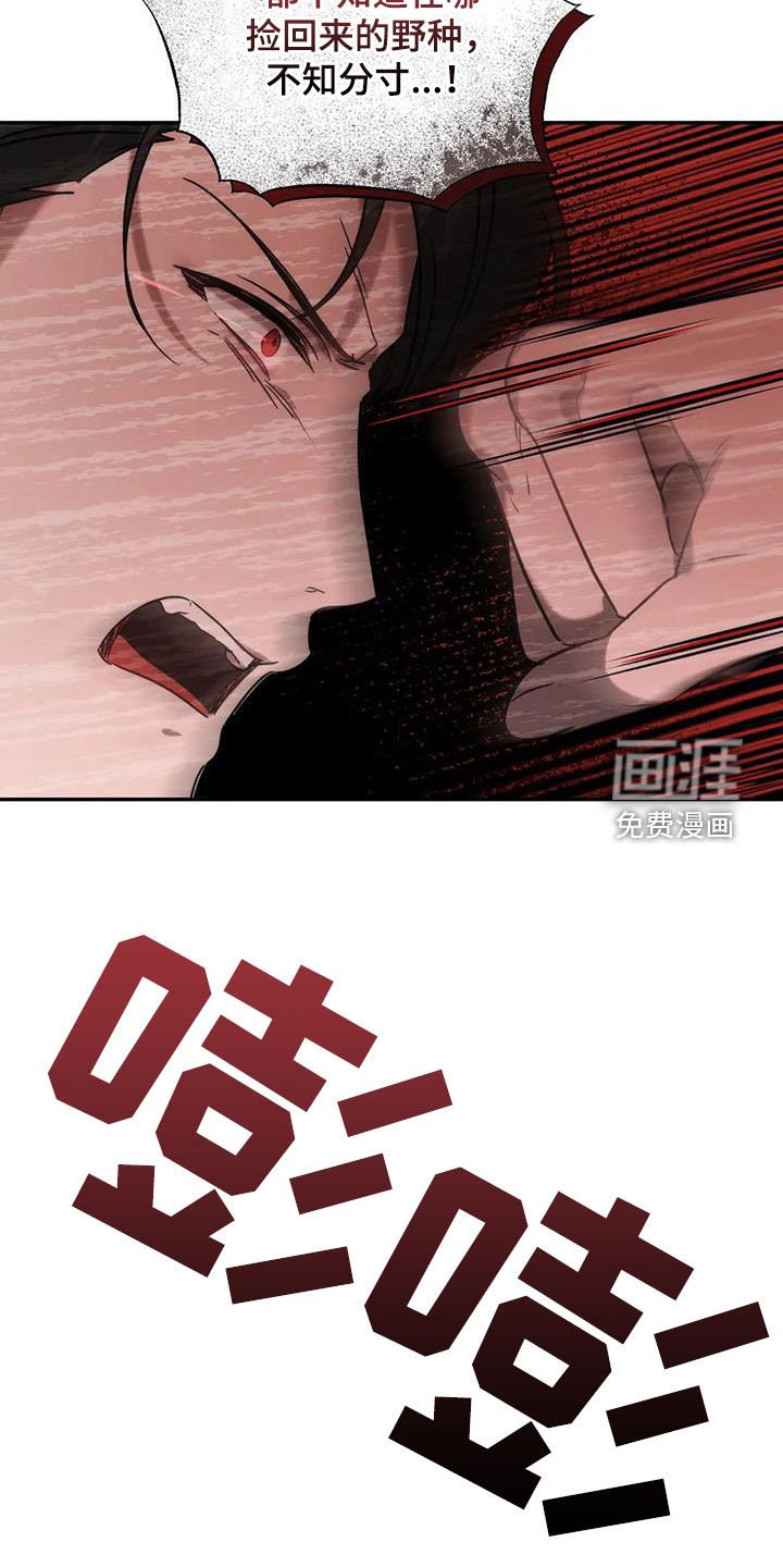 第50章：你惹到我了