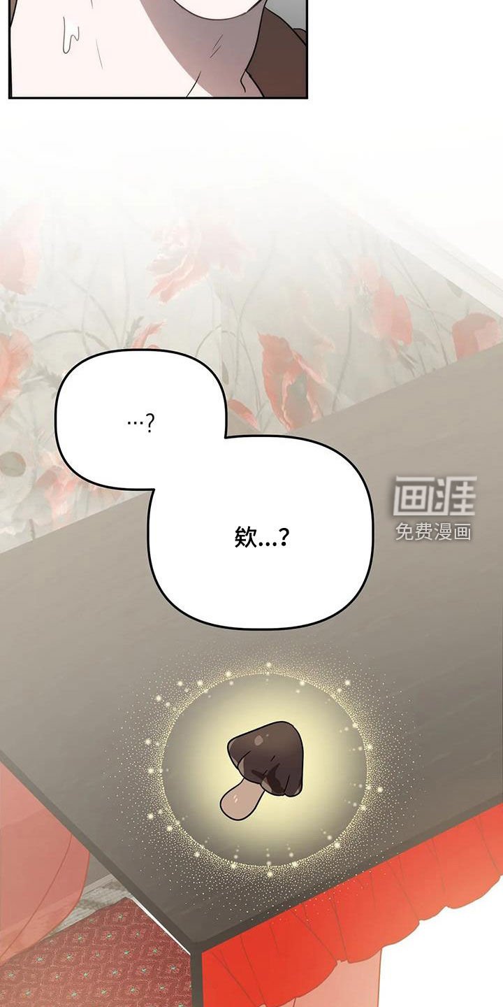 第51章：我又没胡说