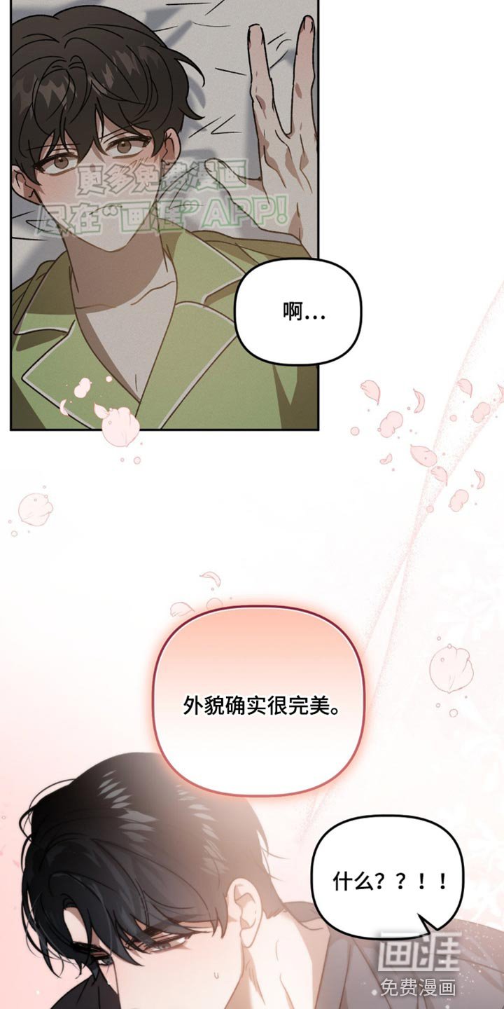 第86章：完美的外貌