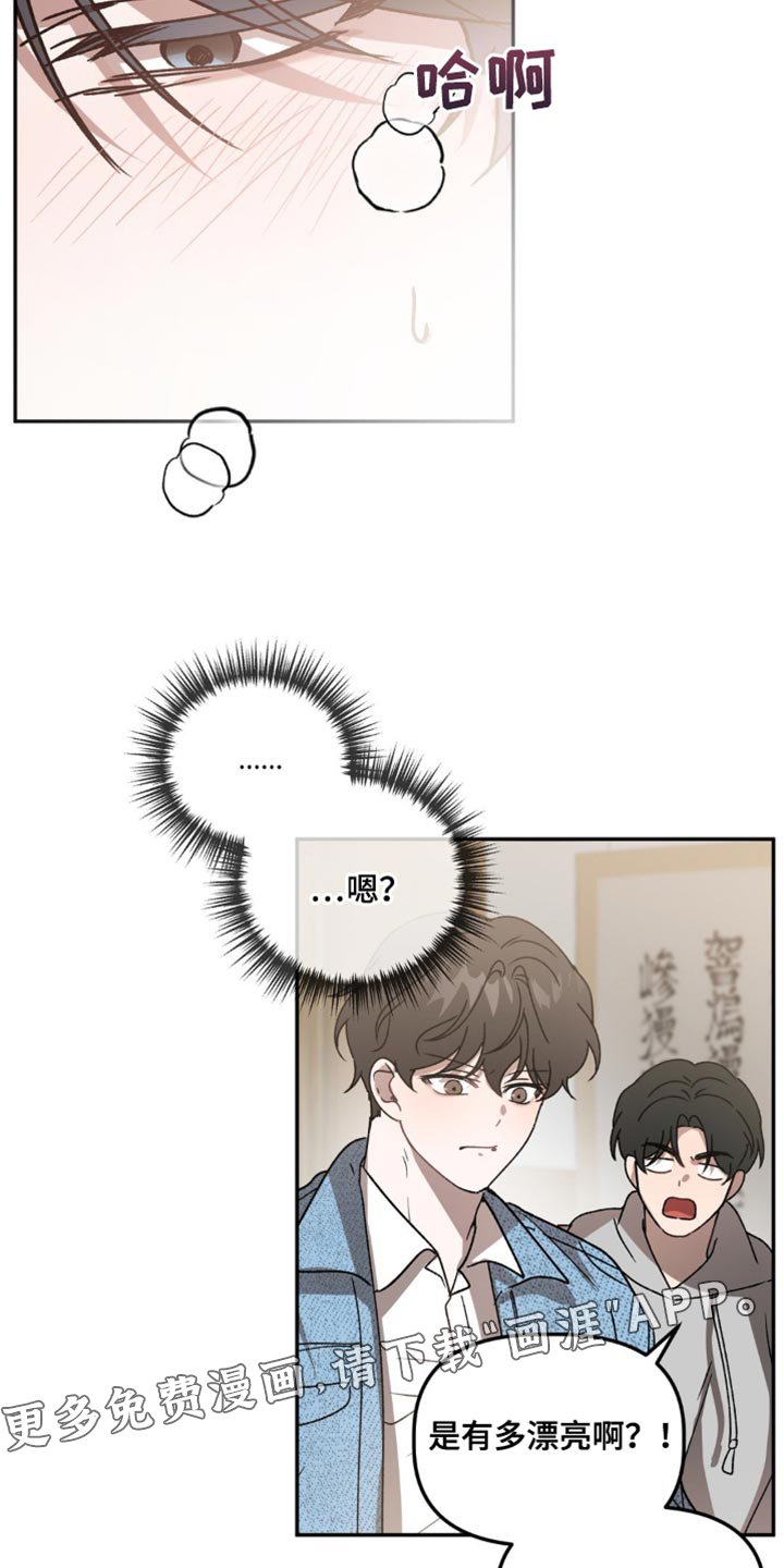 第86章：完美的外貌