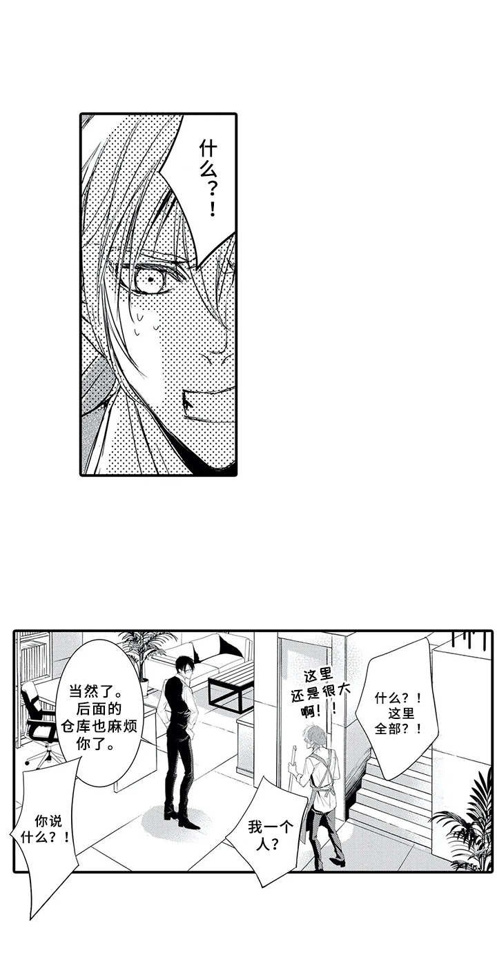 第11章：当成傻瓜
