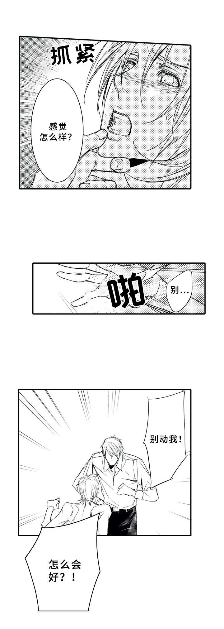 第3章：自我介绍