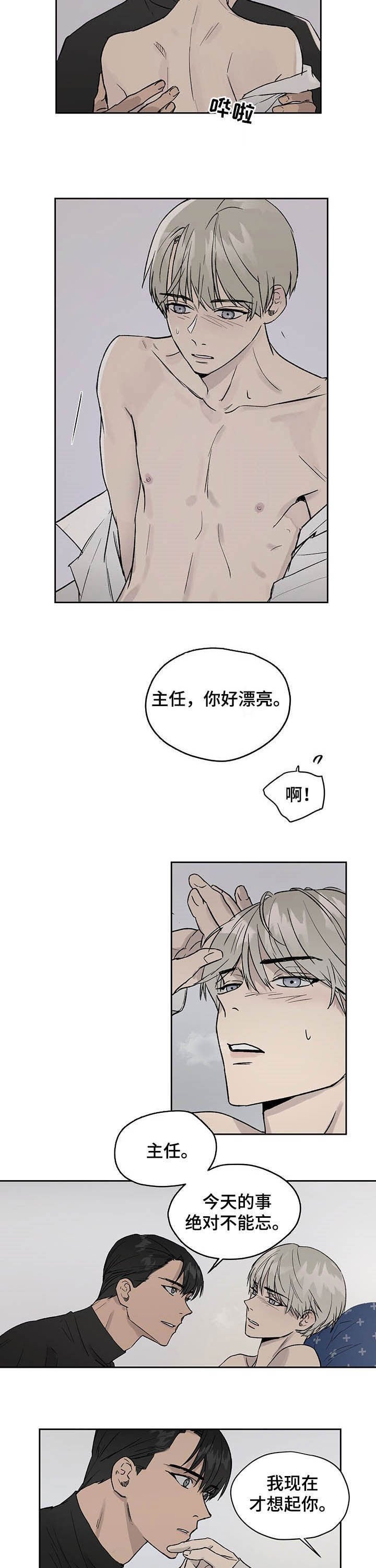 第29章：表现不错