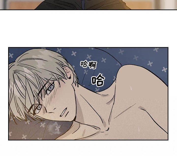 第29章：表现不错
