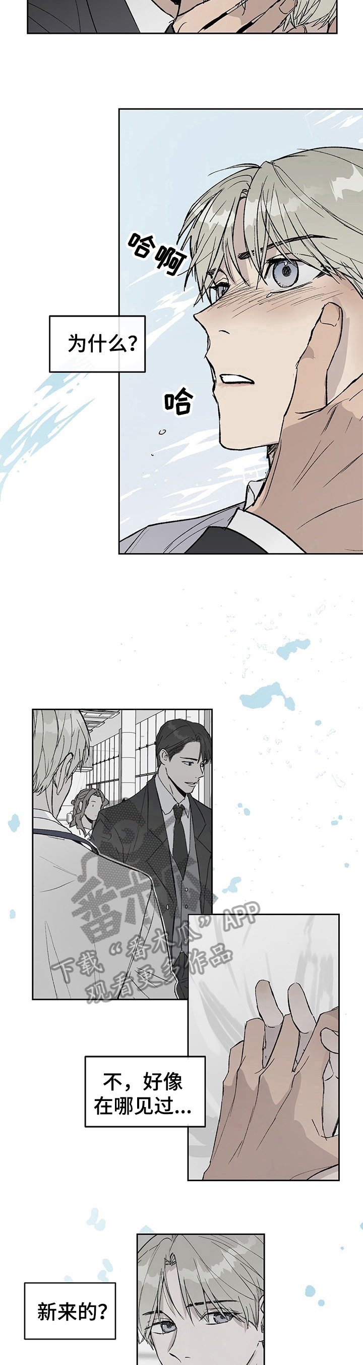 第6章：无礼
