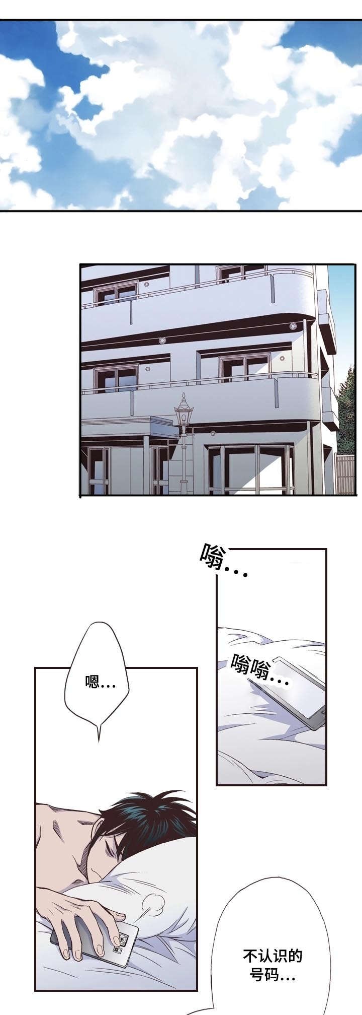 第5章：偏见