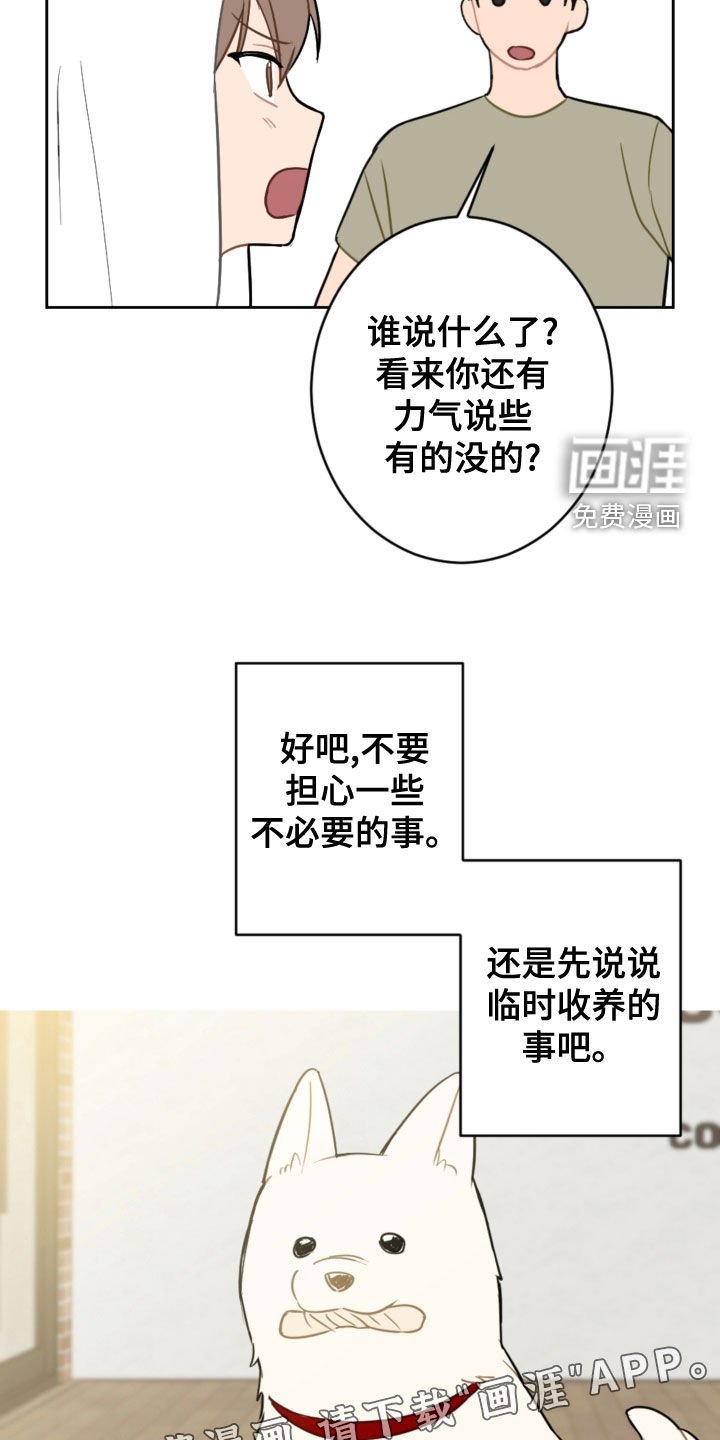 第100章：终极武器