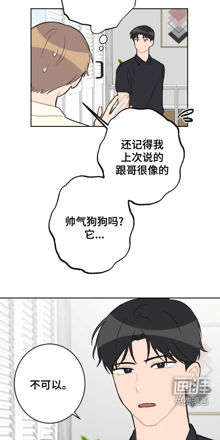 第100章：终极武器