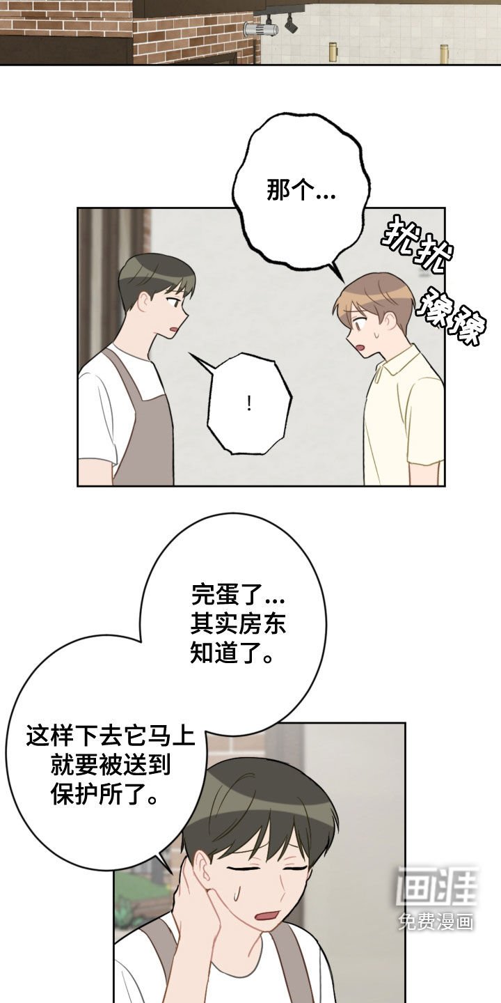 第100章：终极武器