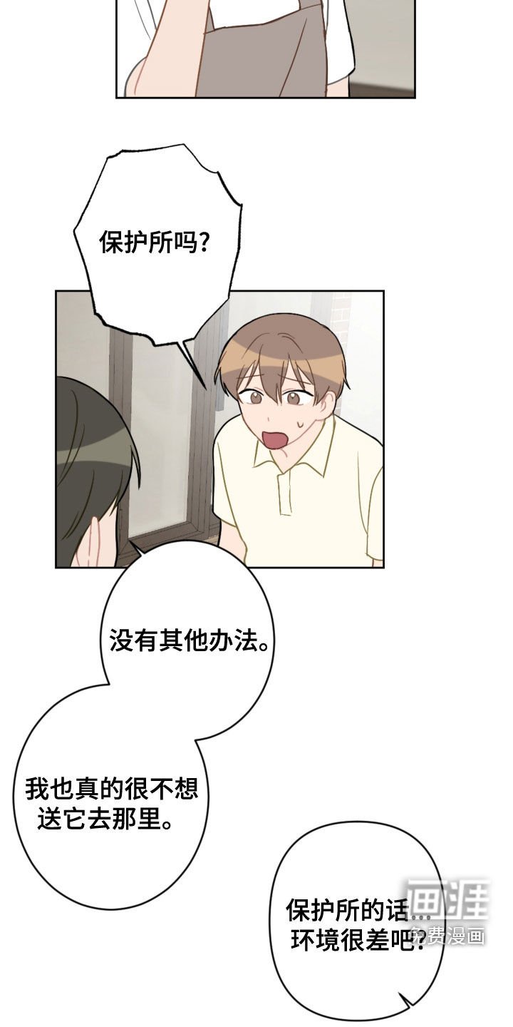 第100章：终极武器