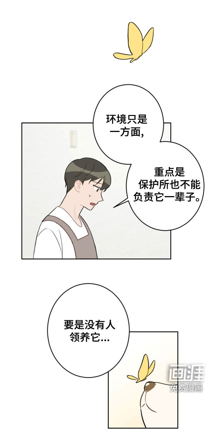 第100章：终极武器