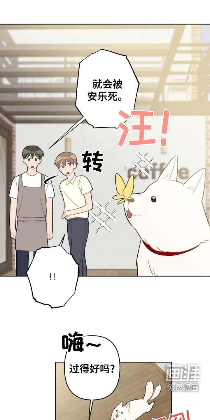第100章：终极武器