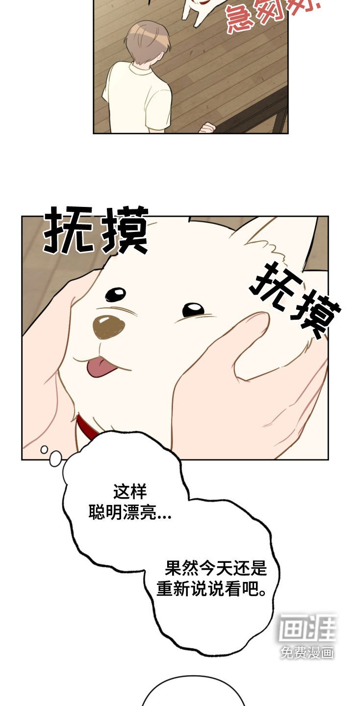 第100章：终极武器