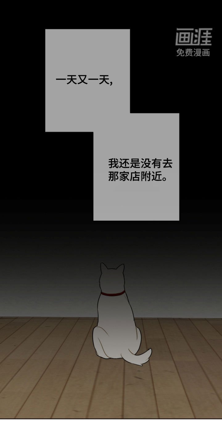 第103章：台风