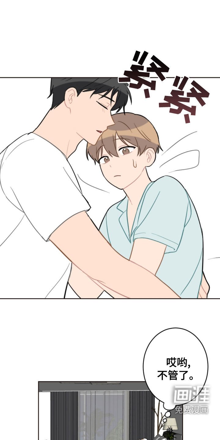 第104章：救助狗狗