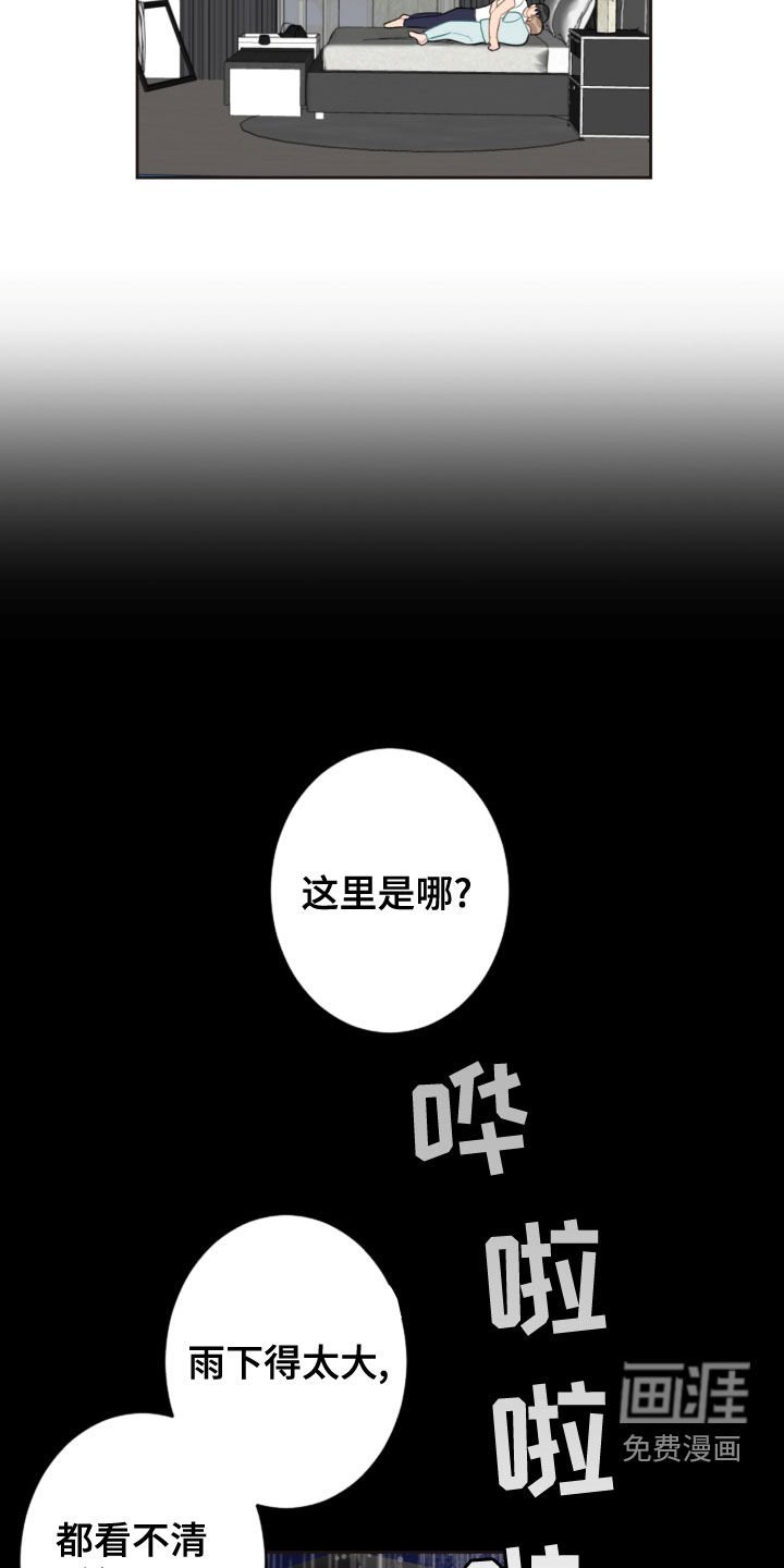 第104章：救助狗狗