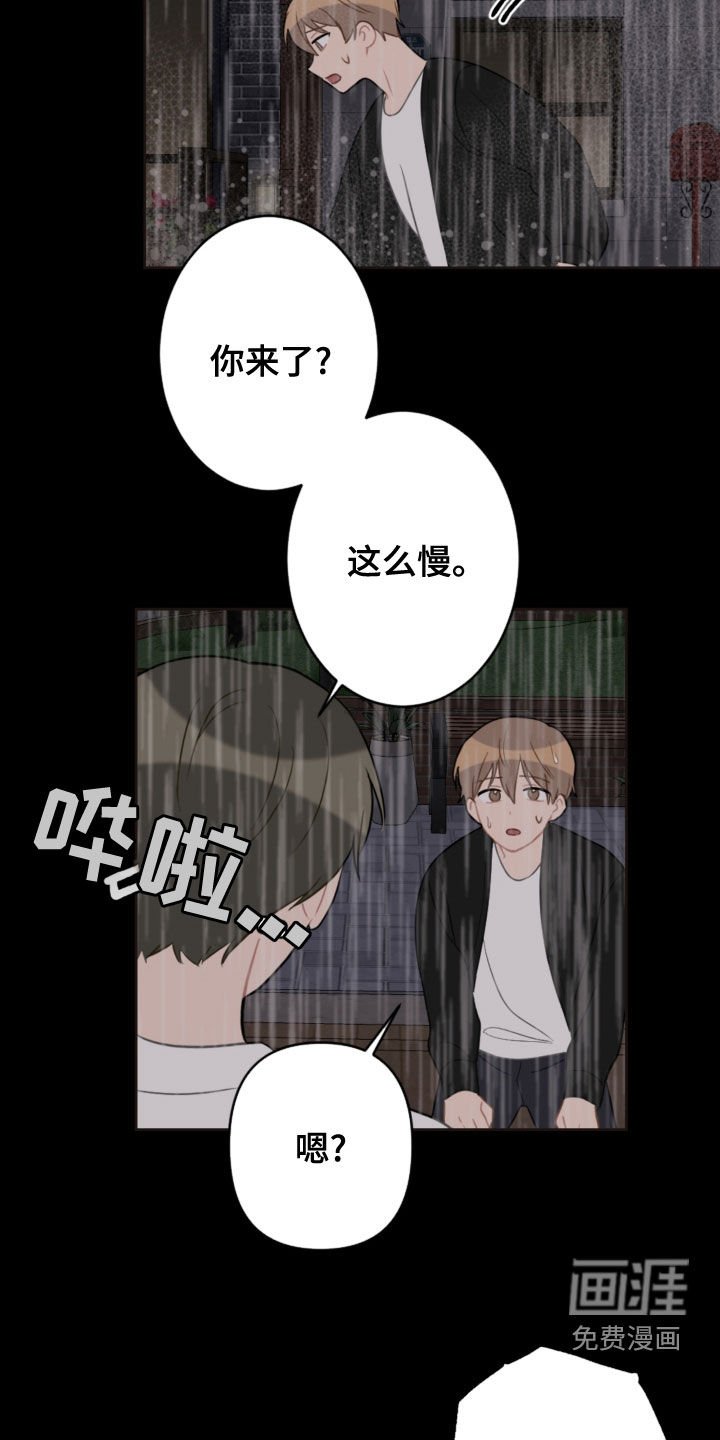第104章：救助狗狗
