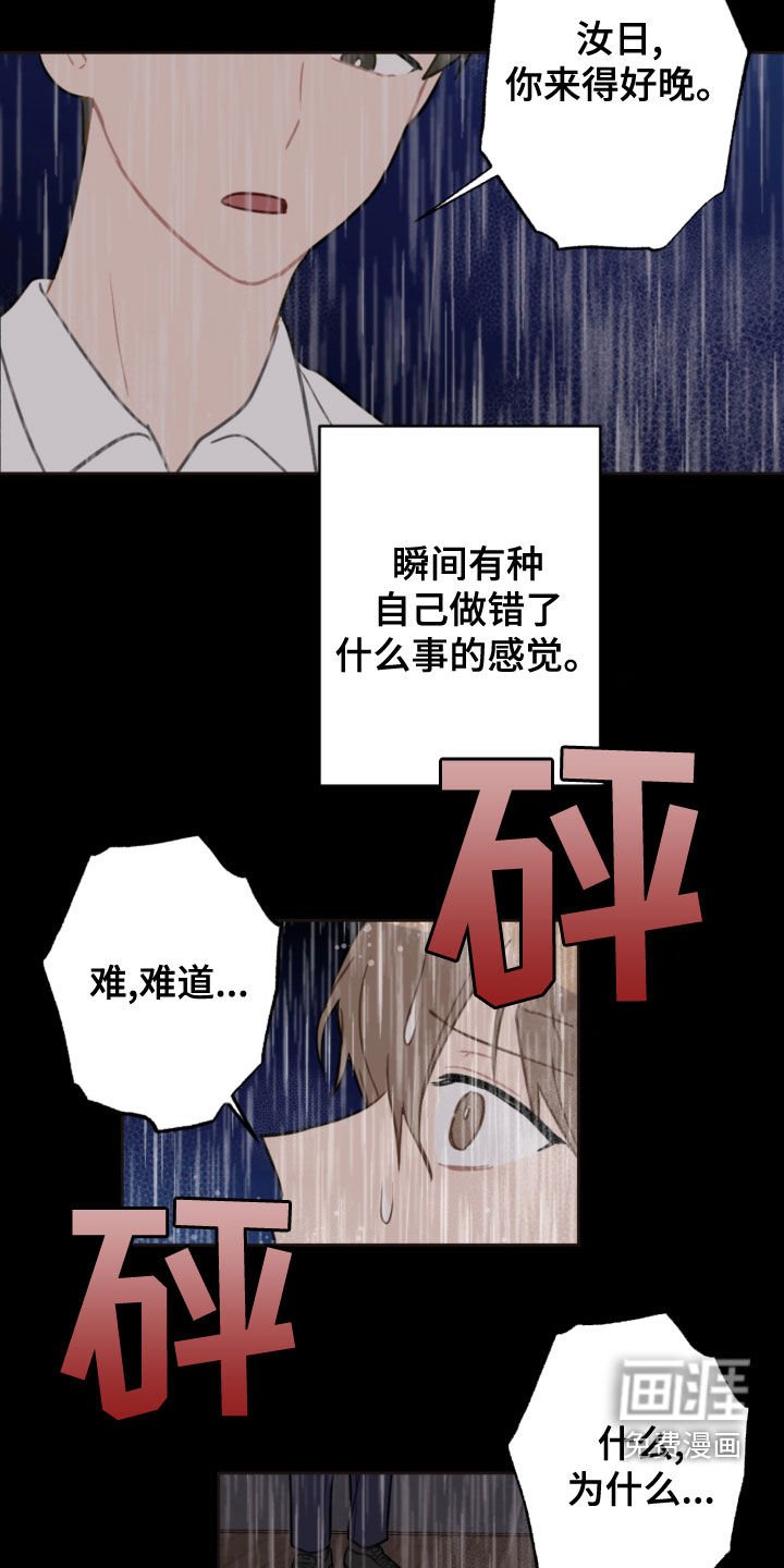 第104章：救助狗狗