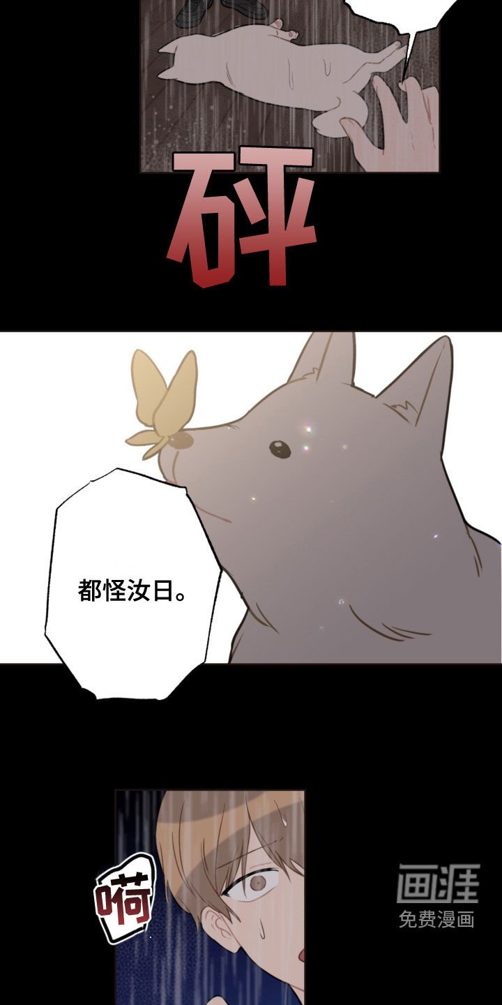 第104章：救助狗狗