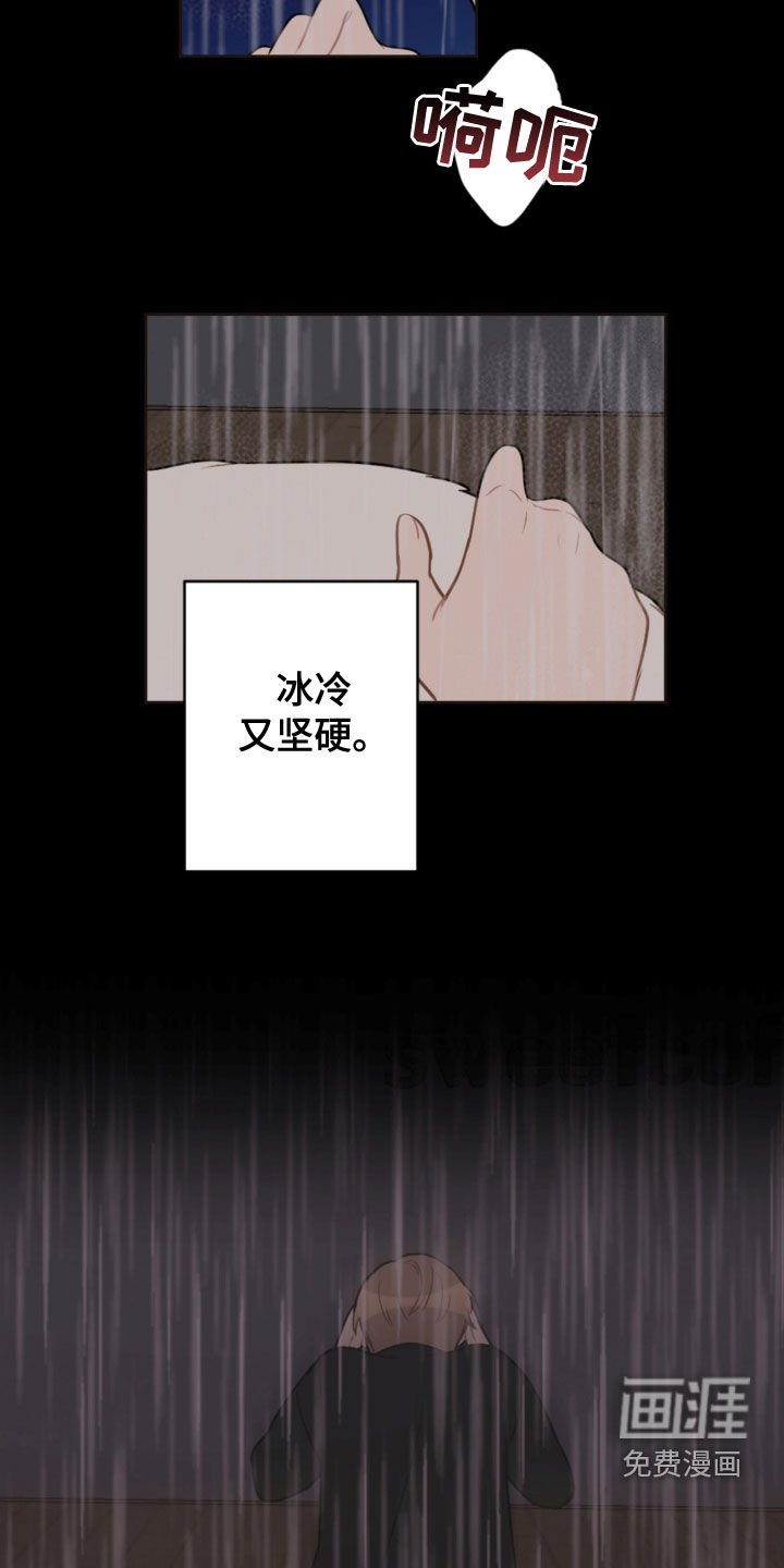 第104章：救助狗狗