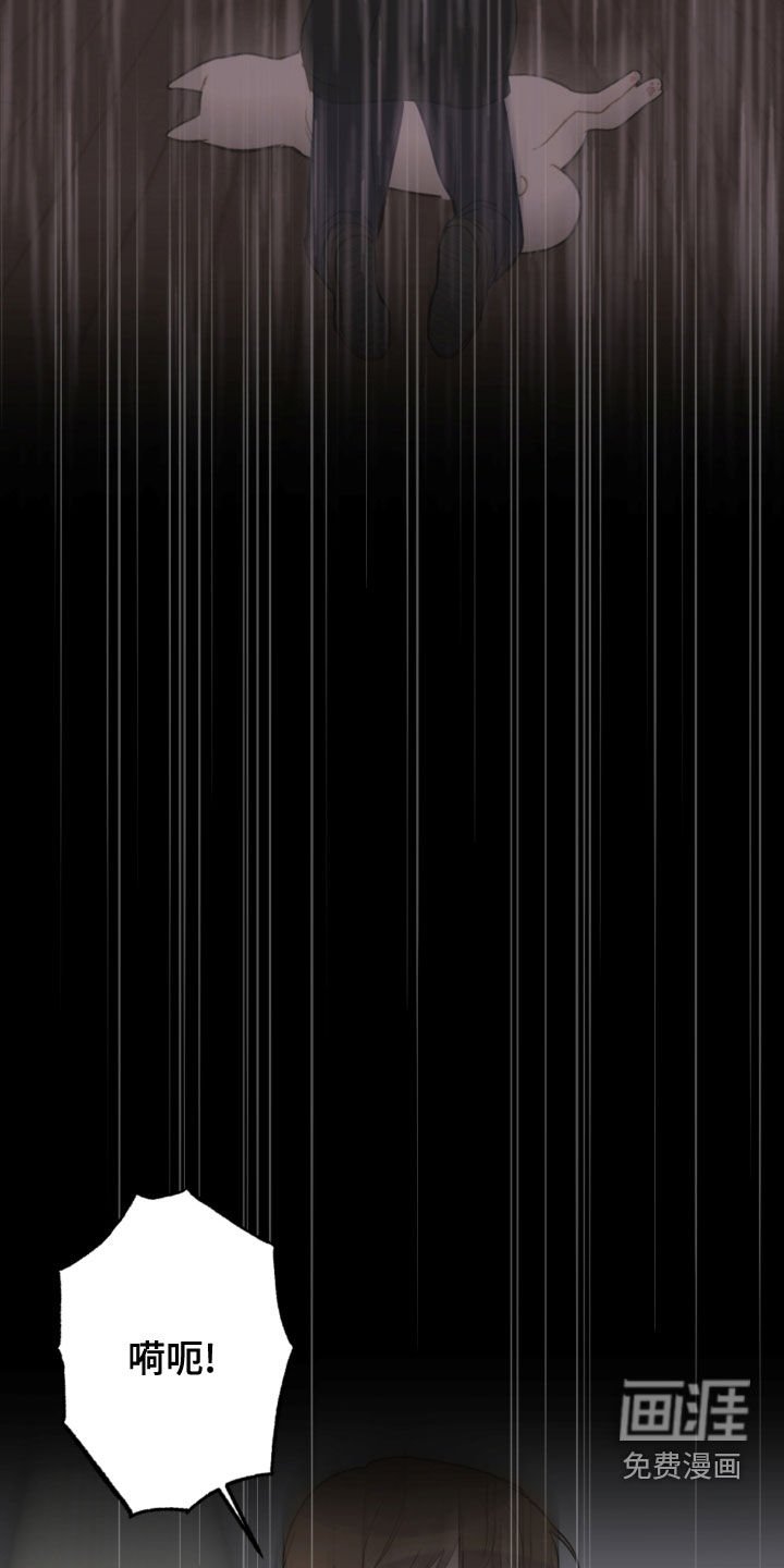 第104章：救助狗狗
