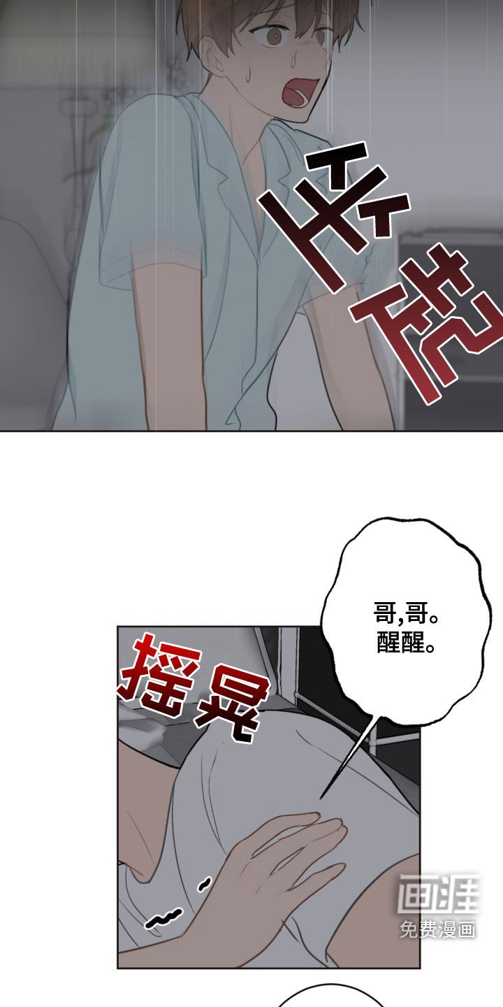 第104章：救助狗狗
