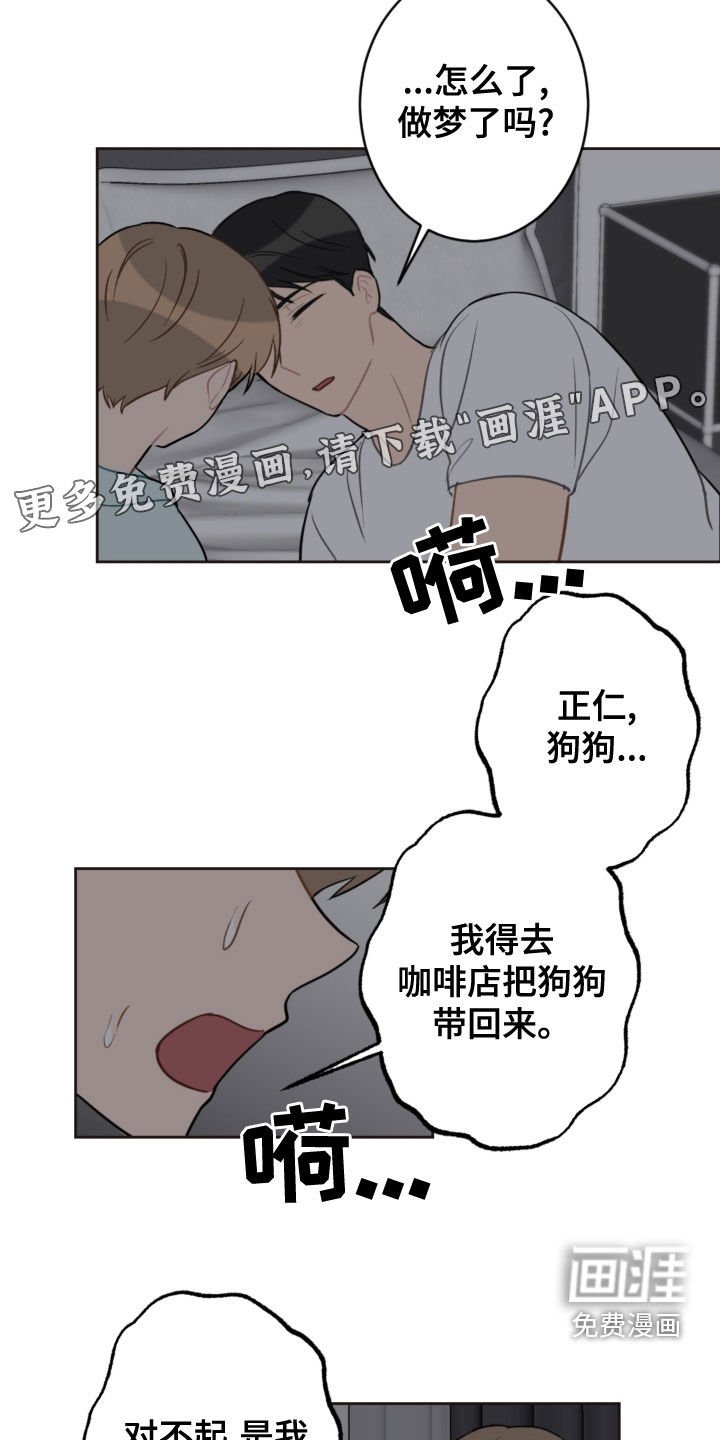 第104章：救助狗狗