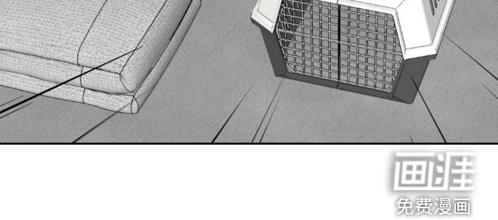 第104章：救助狗狗
