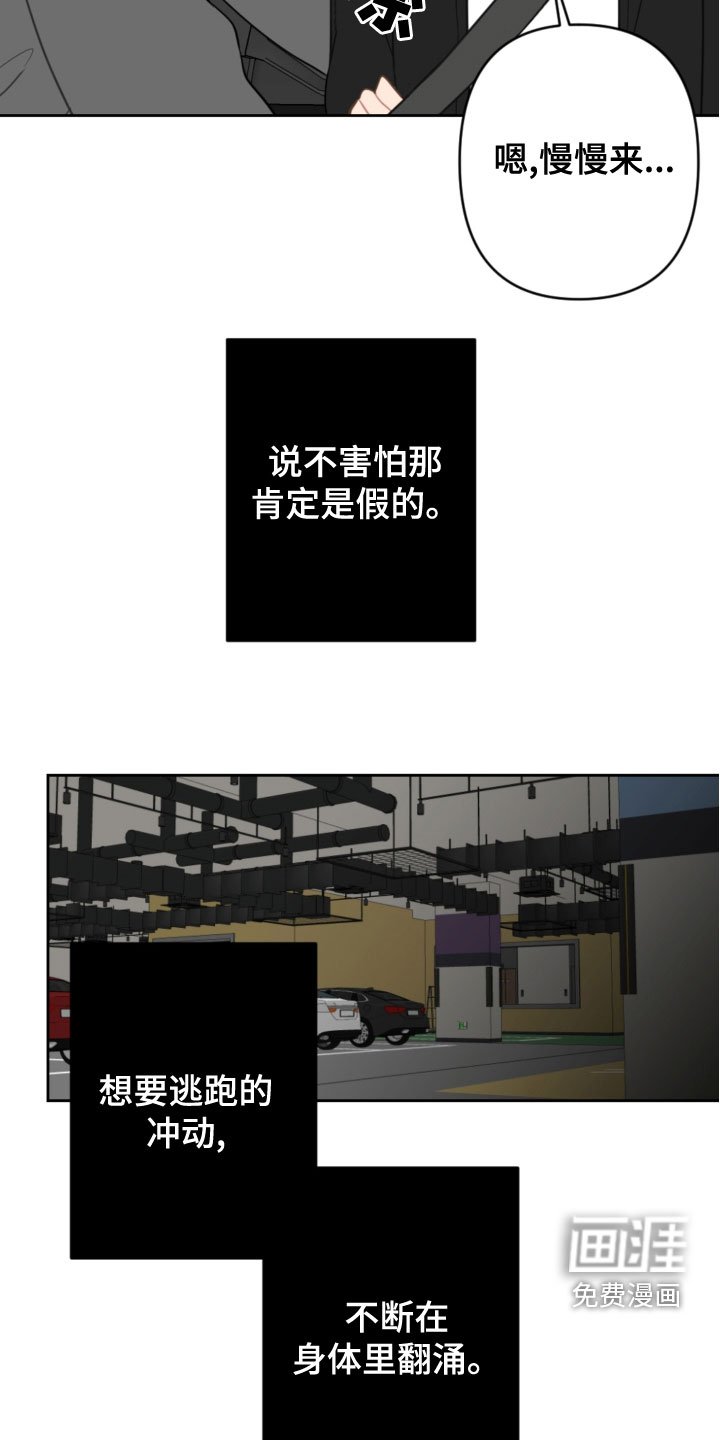 第105章：开车