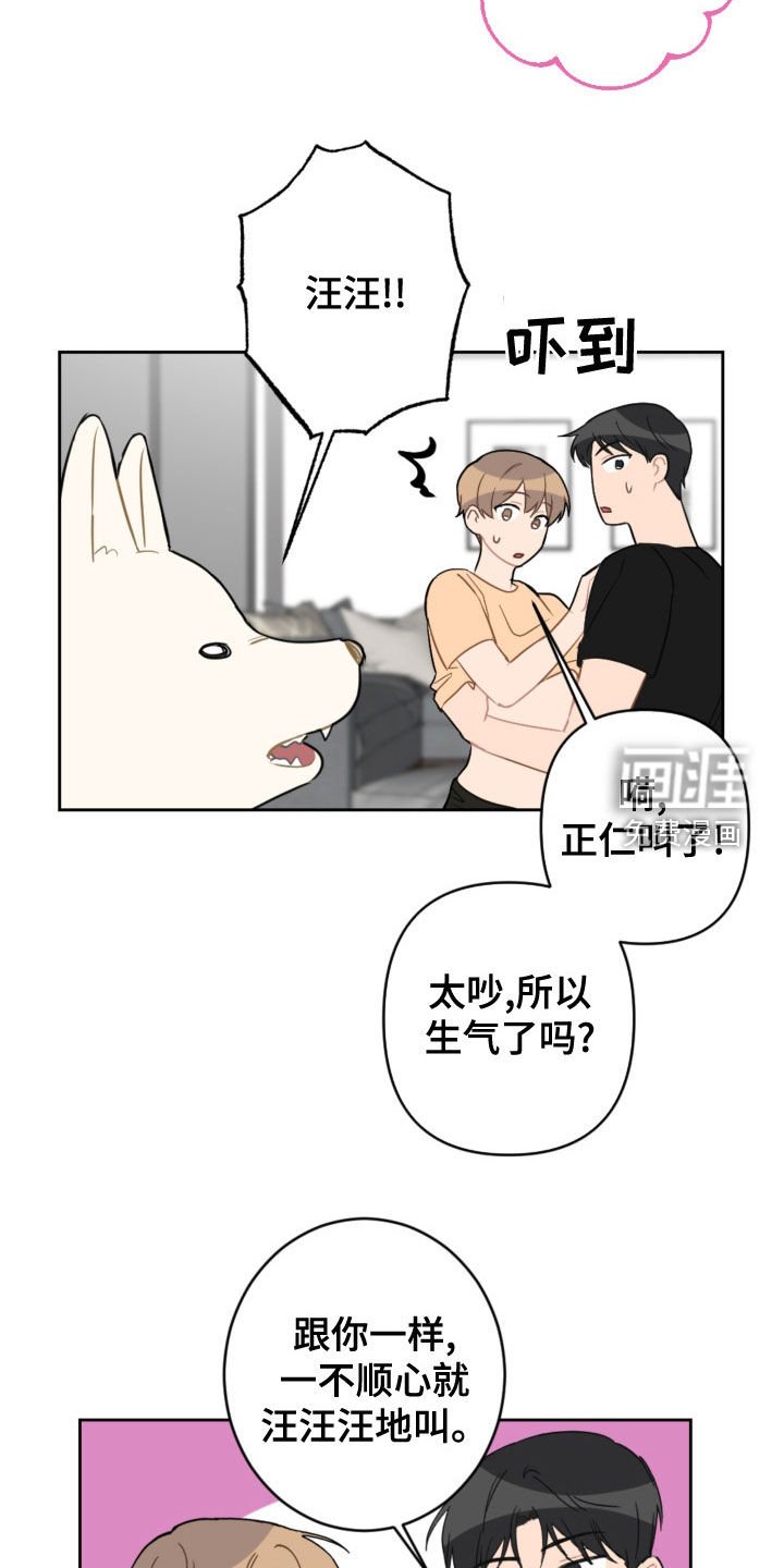 第107章：护主